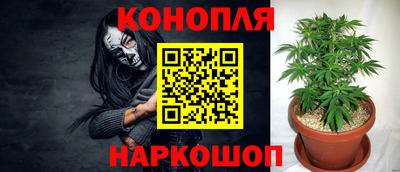 трава Нальчик