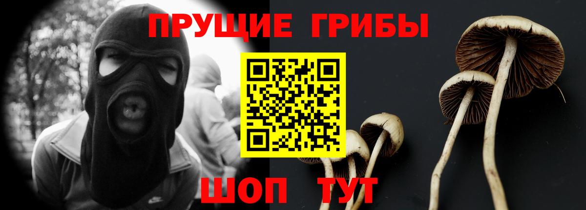 Галлюциногенные грибы Psilocybe  Вход с VPN  Сургут 
